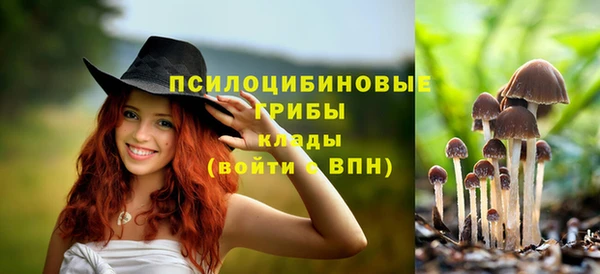 ешки Армянск