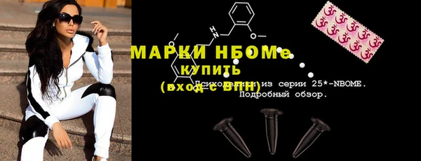 индика Аркадак