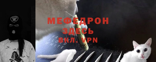 индика Аркадак
