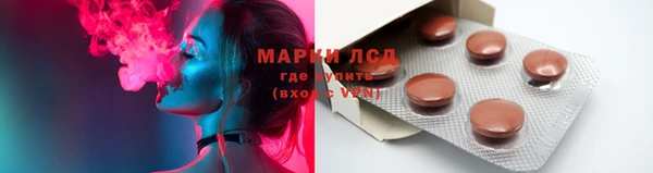 ПСИЛОЦИБИНОВЫЕ ГРИБЫ Ладушкин