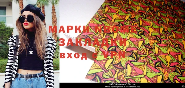 индика Аркадак