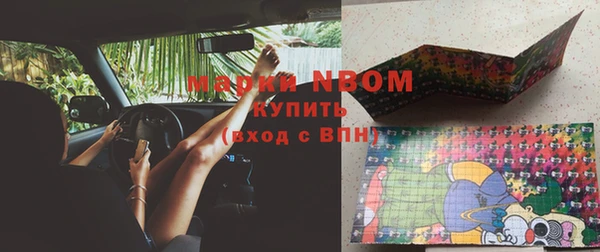 индика Аркадак